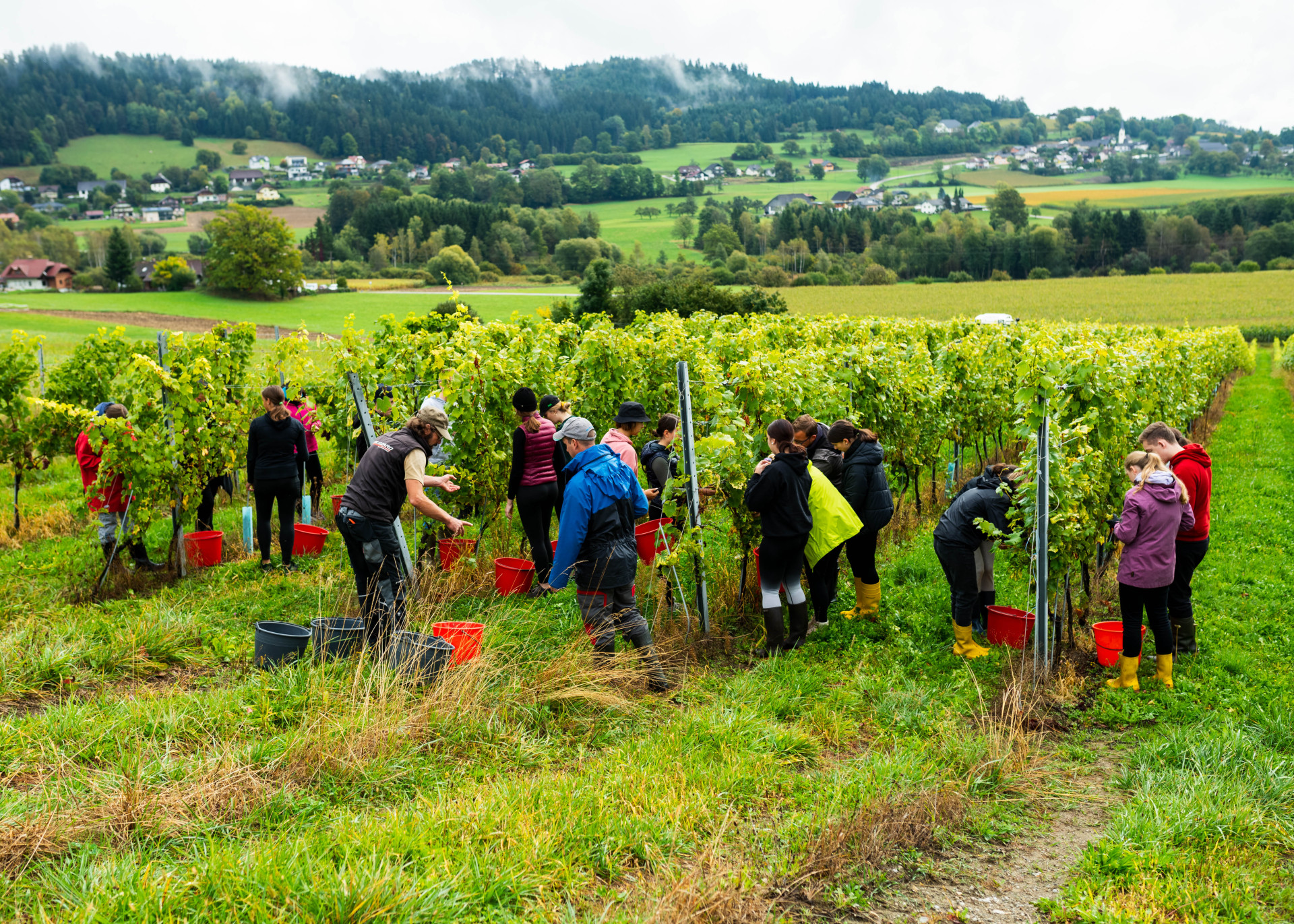 Zusatzausbildung_Jungsommelier6 Zusatzausbildung_Jungsommelier6