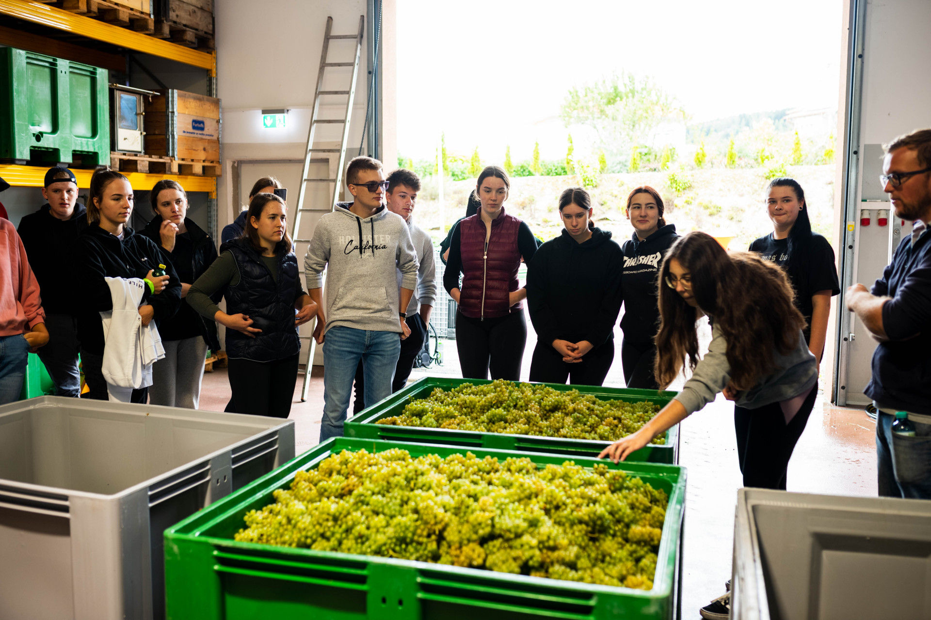 Zusatzausbildung_Jungsommelier8 Zusatzausbildung_Jungsommelier8