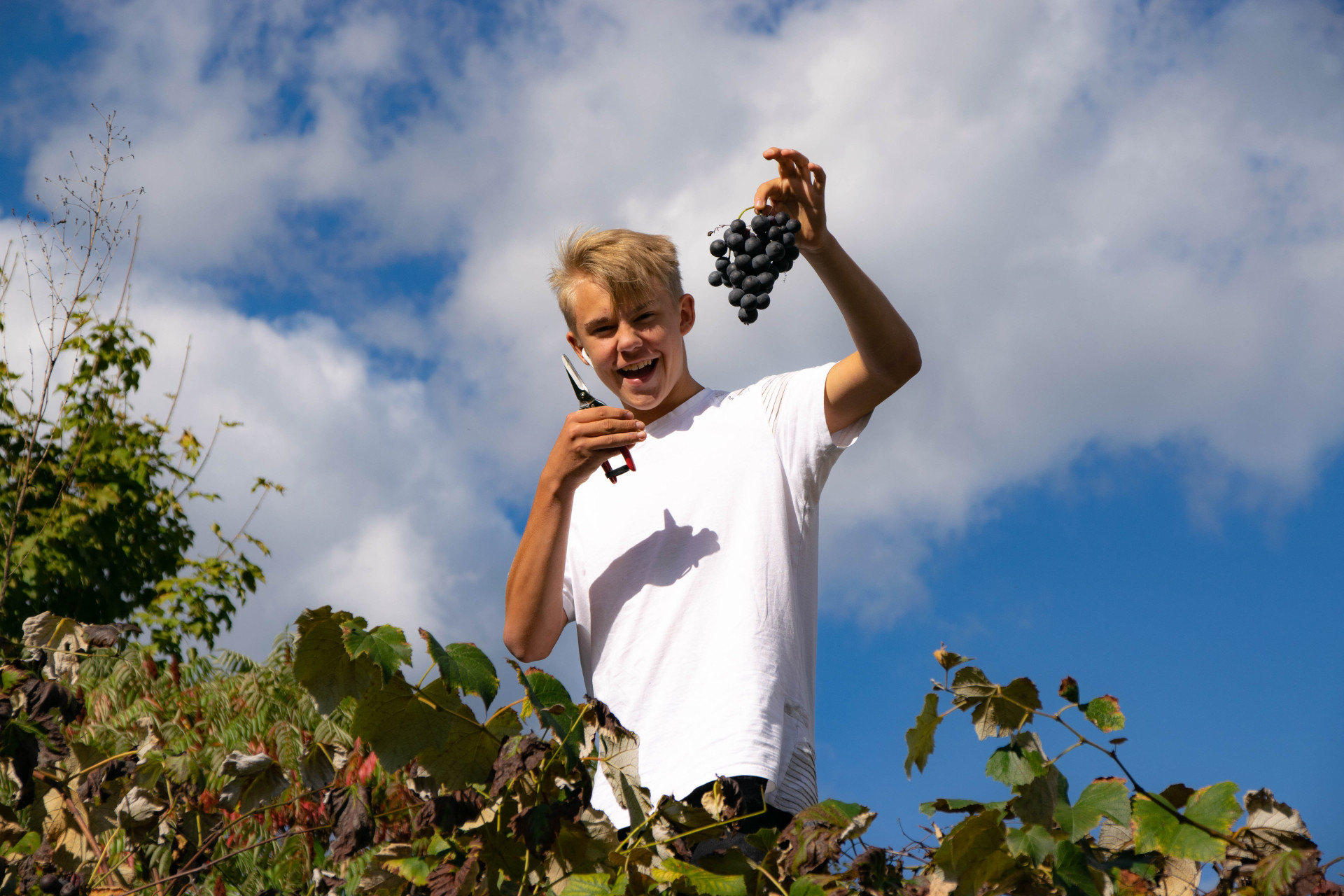 zusatz_jungsommelier9