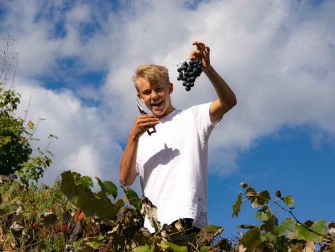 zusatz_jungsommelier9 zusatz_jungsommelier9