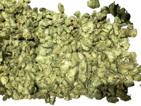hopfen hopfen