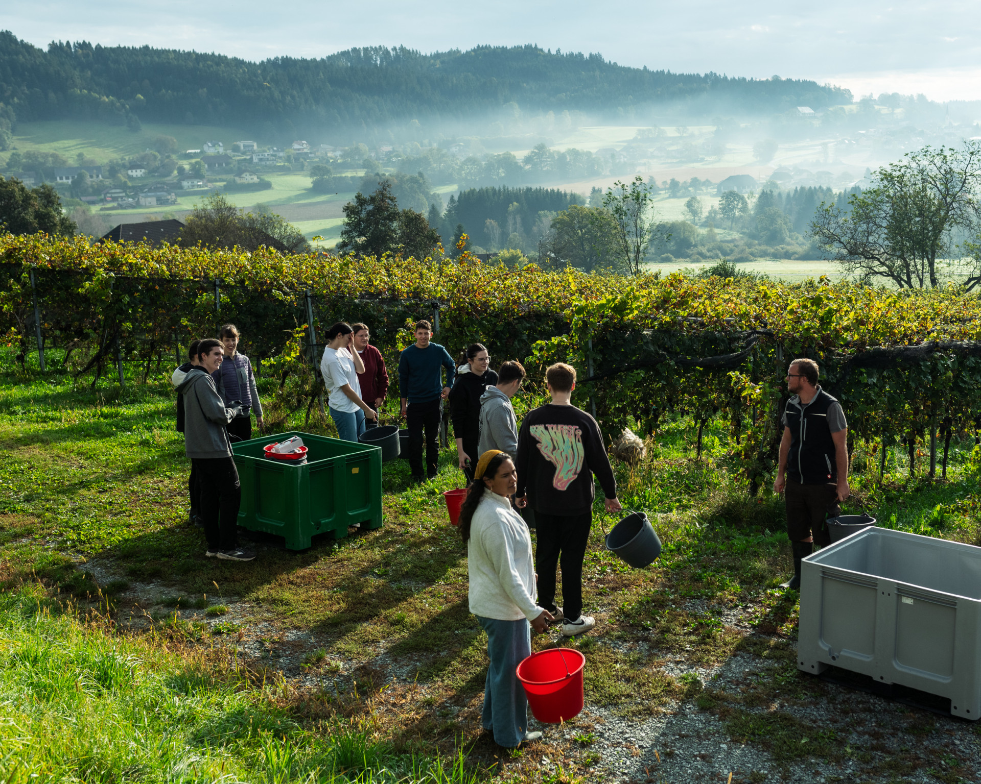 weinlese_trippelgut weinlese_trippelgut