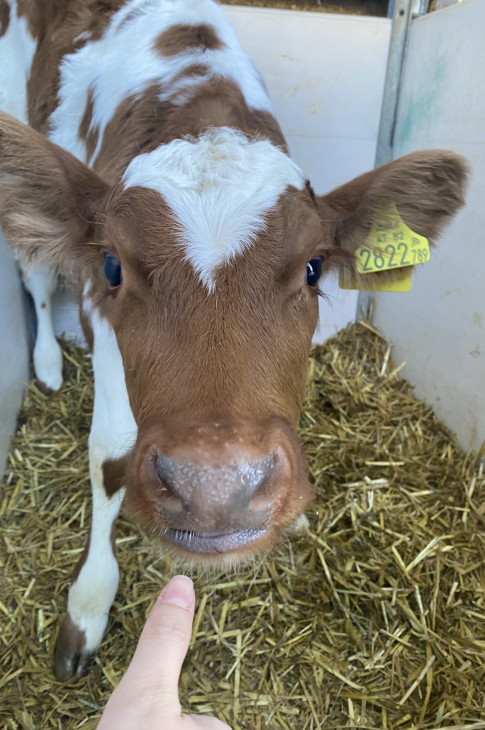 2023_11_17_3BT_BioBauernhof02