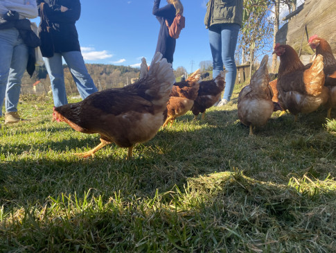 2023_11_17_3BT_BioBauernhof05