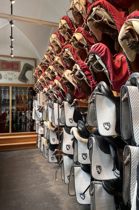 2024_04_11_wien4ct09