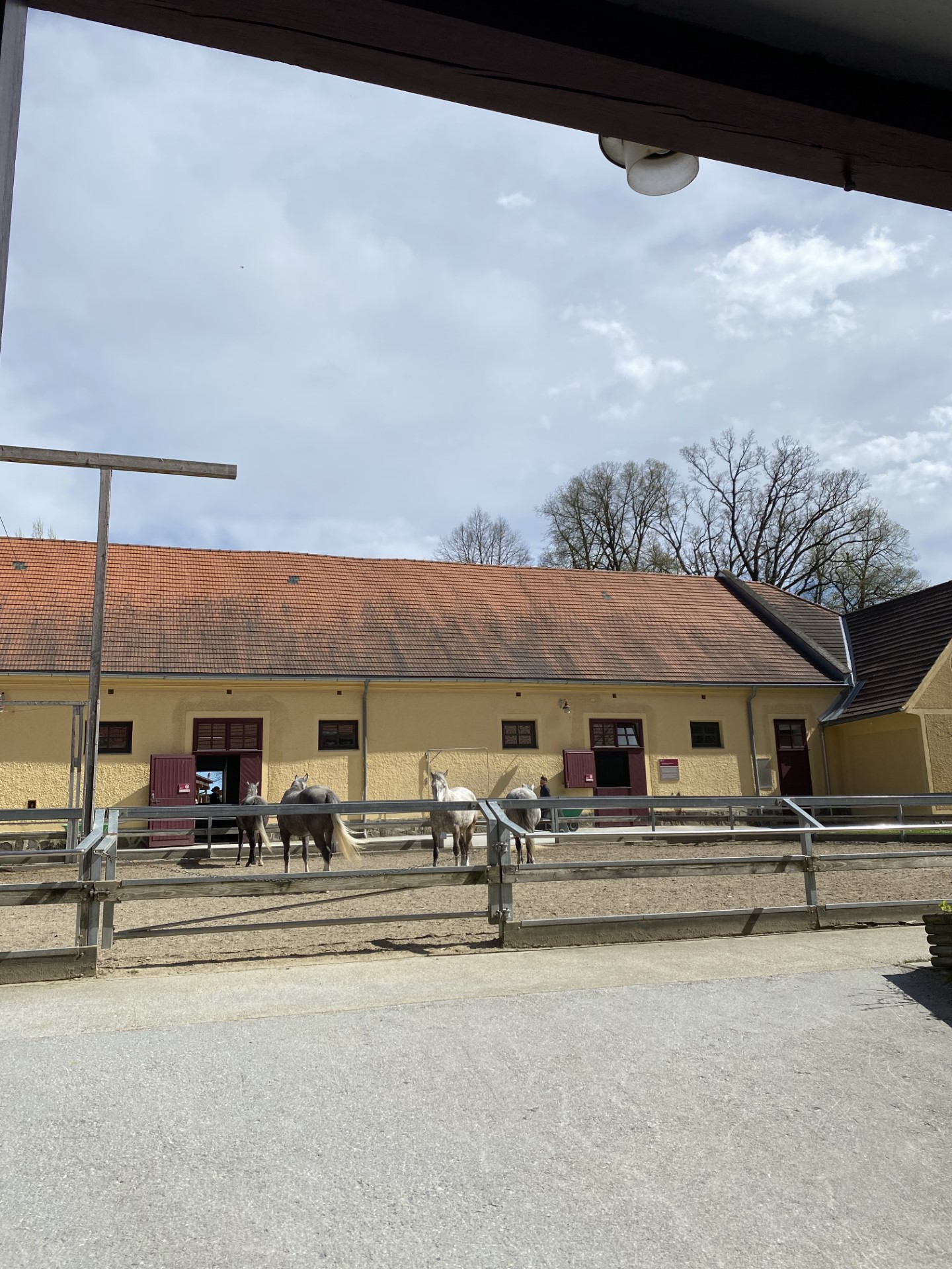 2024_04_15_2BT_stiegerhof06 2024_04_15_2BT_stiegerhof06