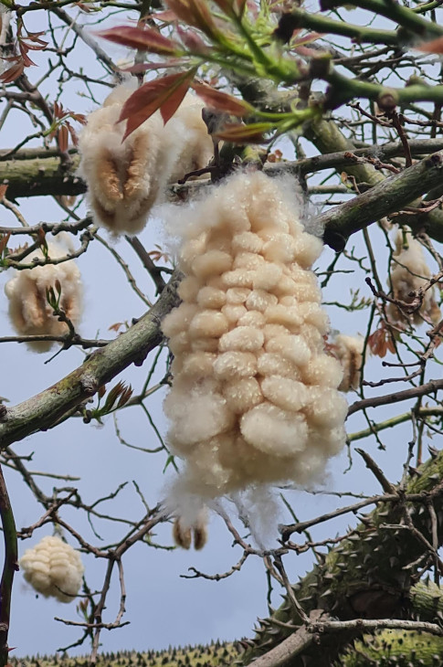 2024_04_sizilien3AT13 2024_04_sizilien3AT13