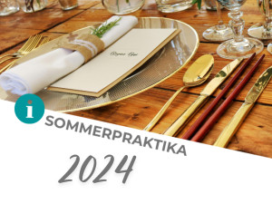 Sommer-Pflichtpraktikum