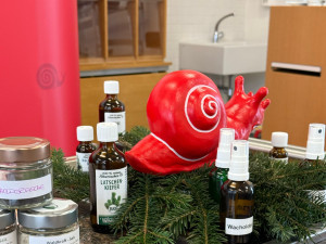 Slow Food Werkstatt