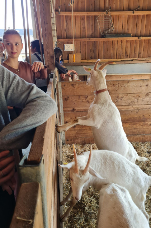 2025_05_annecy08 2025_05_annecy08