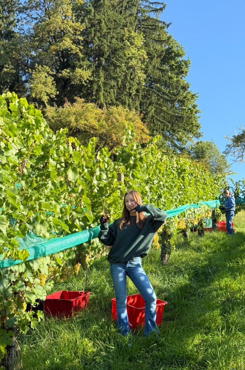 2025_09_22_weinlese02