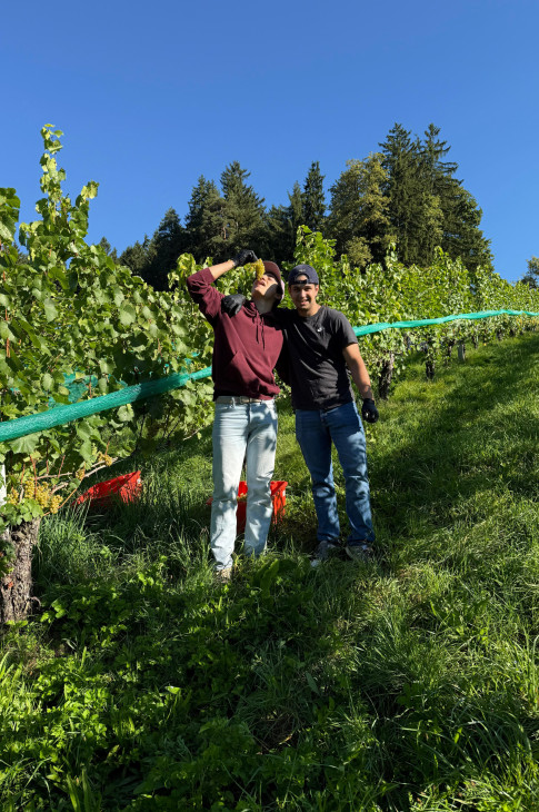 2025_09_22_weinlese05