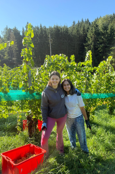 2025_09_22_weinlese06