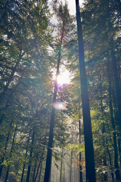 2025_09_kennenlerntage_bodental05