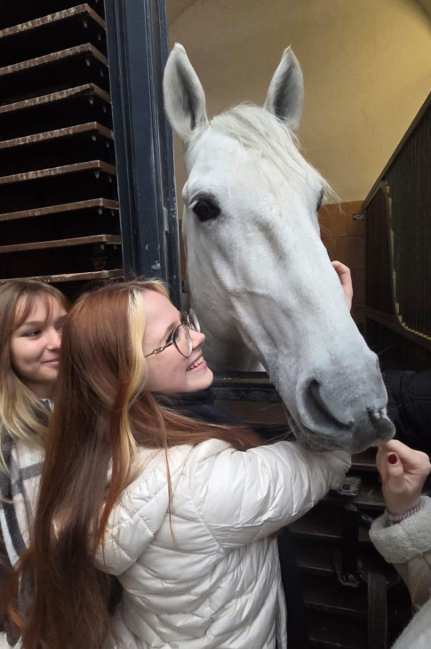 2026_01_09_wienPferd01