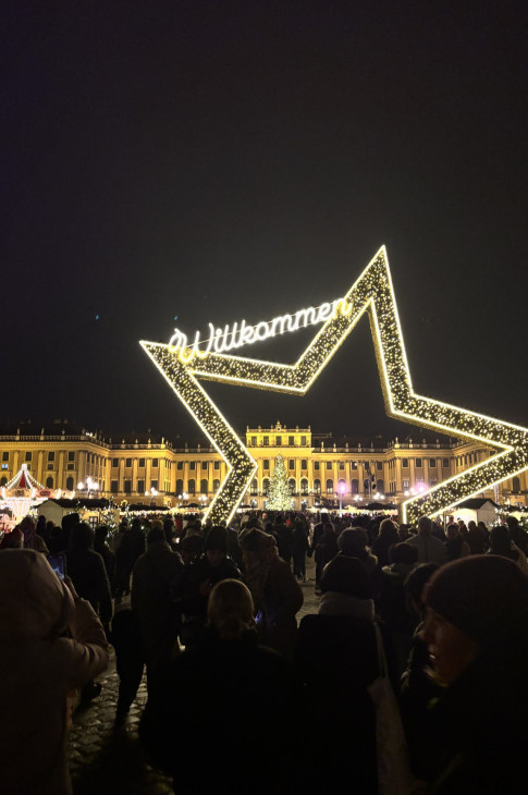 2026_01_09_wienPferd03