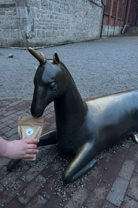 2026_03_jc_riga08 2026_03_jc_riga08