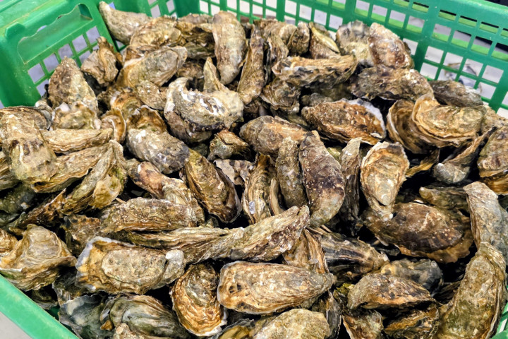 2026_03_poiters03 2026_03_poiters03